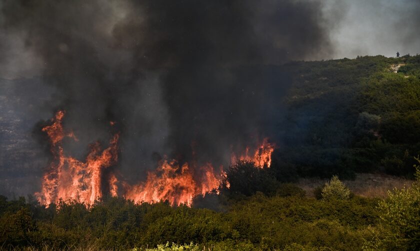 Πυροσβεστική: 37 δασικές πυρκαγιές το τελευταίο 24ωρο - Υψηλός κίνδυνος πυρκαγιάς τη Δευτέρα