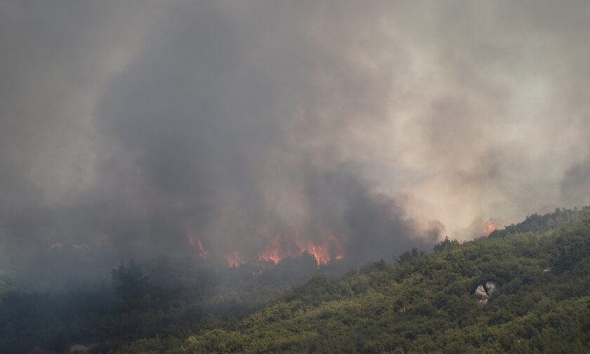 Φωτιά τώρα στη Ροδόπη: Ισχυροί άνεμοι στην περιοχή - Μεγάλη επιχείρηση της Πυροσβεστικής