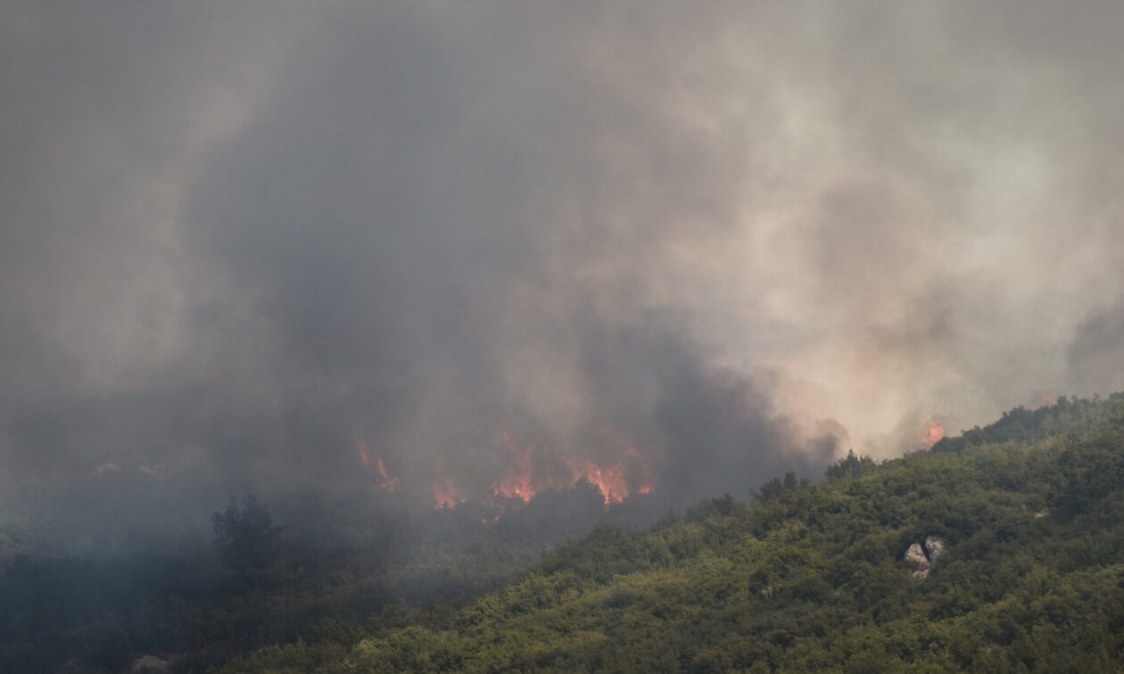 Φωτιά τώρα στη Ροδόπη: Ισχυροί άνεμοι στην περιοχή - Μεγάλη επιχείρηση της Πυροσβεστικής