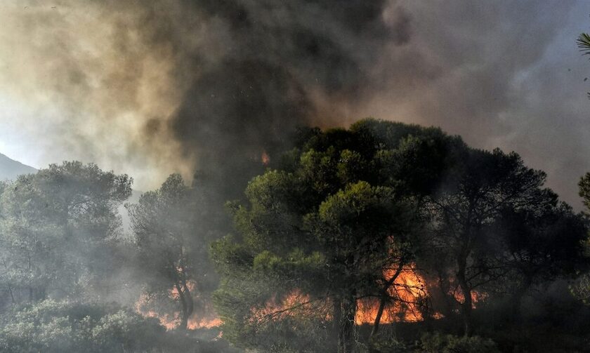 Σύλληψη για πυρκαγιά στην Κρήτη
