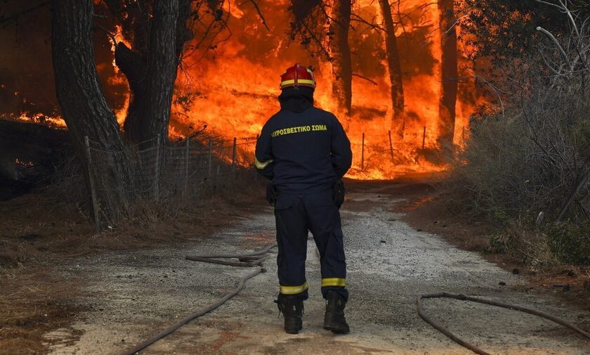 Φωτιά στο Δεβελίκι Χαλκιδικής: 10 οχήματα με 28 πυροσβέστες στην περιοχή