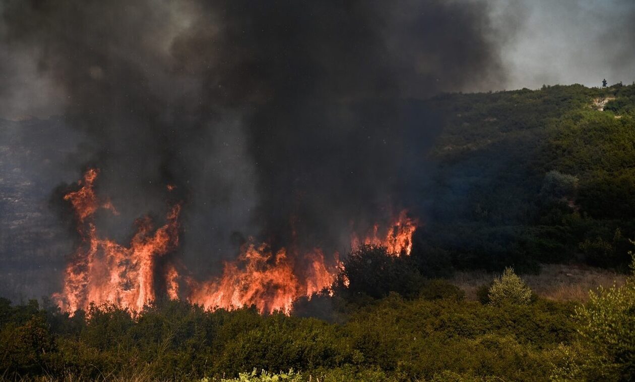 Λάρισα: Φωτιά τώρα στο Μακρυχώρι – Καίει κοντά σε εργοστάσιο