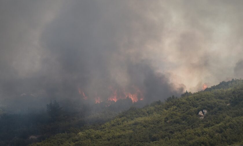 Φωτιά τώρα στην Ορεστιάδα: «Ήμασταν σε επιφυλακή για εκκένωση» λέει ο δήμαρχος στο Newsbomb.gr