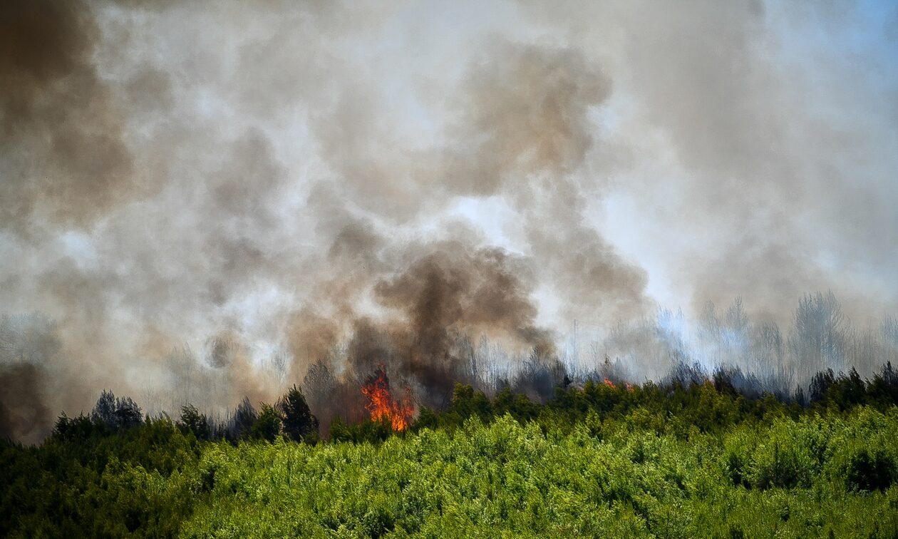 Φωτιές: 41 δασικές πυρκαγιές το τελευταίο 24ωρο