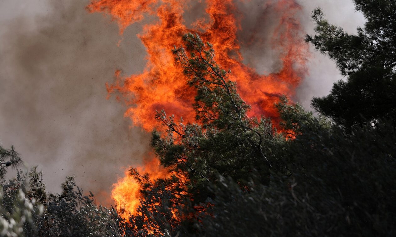 Φωτιά τώρα στην Κάρυστο: Επιχειρούν ισχυρές δυνάμεις της Πυροσβεστικής