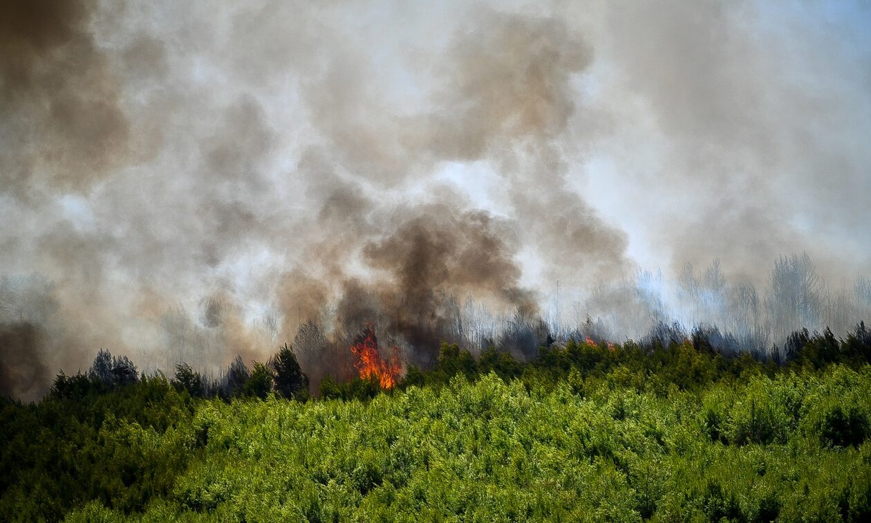 Φωτιά τώρα στην Κάρυστο: Ενισχύονται οι δυνάμεις της Πυροσβεστικής - Σε δύσβατο σημείο η πυρκαγιά