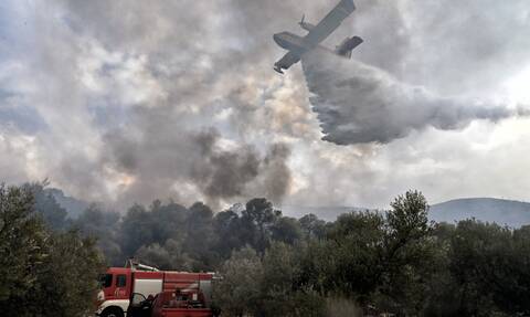Φωτιά στην Κάρυστο: Υπό έλεγχο η πυρκαγιά - Παραμένουν οι δυνάμεις για τυχόν αναζωπυρώσεις
