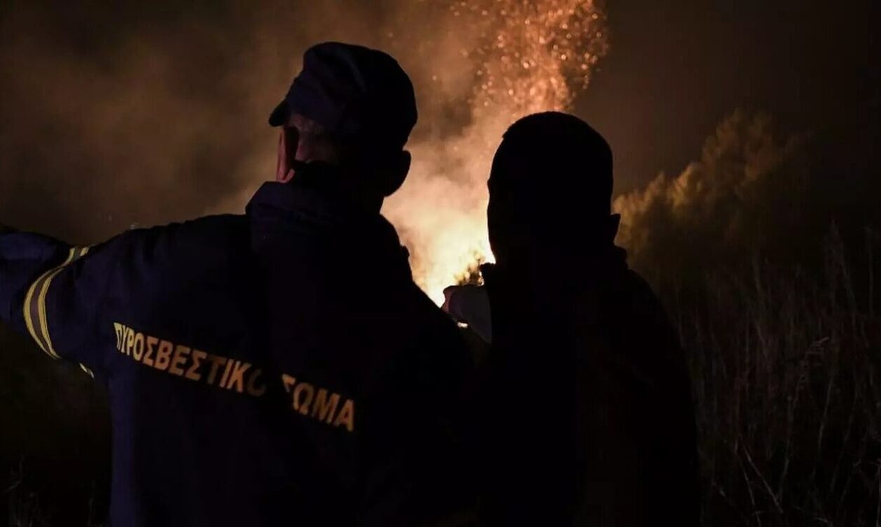 Κεφαλονιά: Πυρκαγιά στην περιοχή Σβορωνάτα