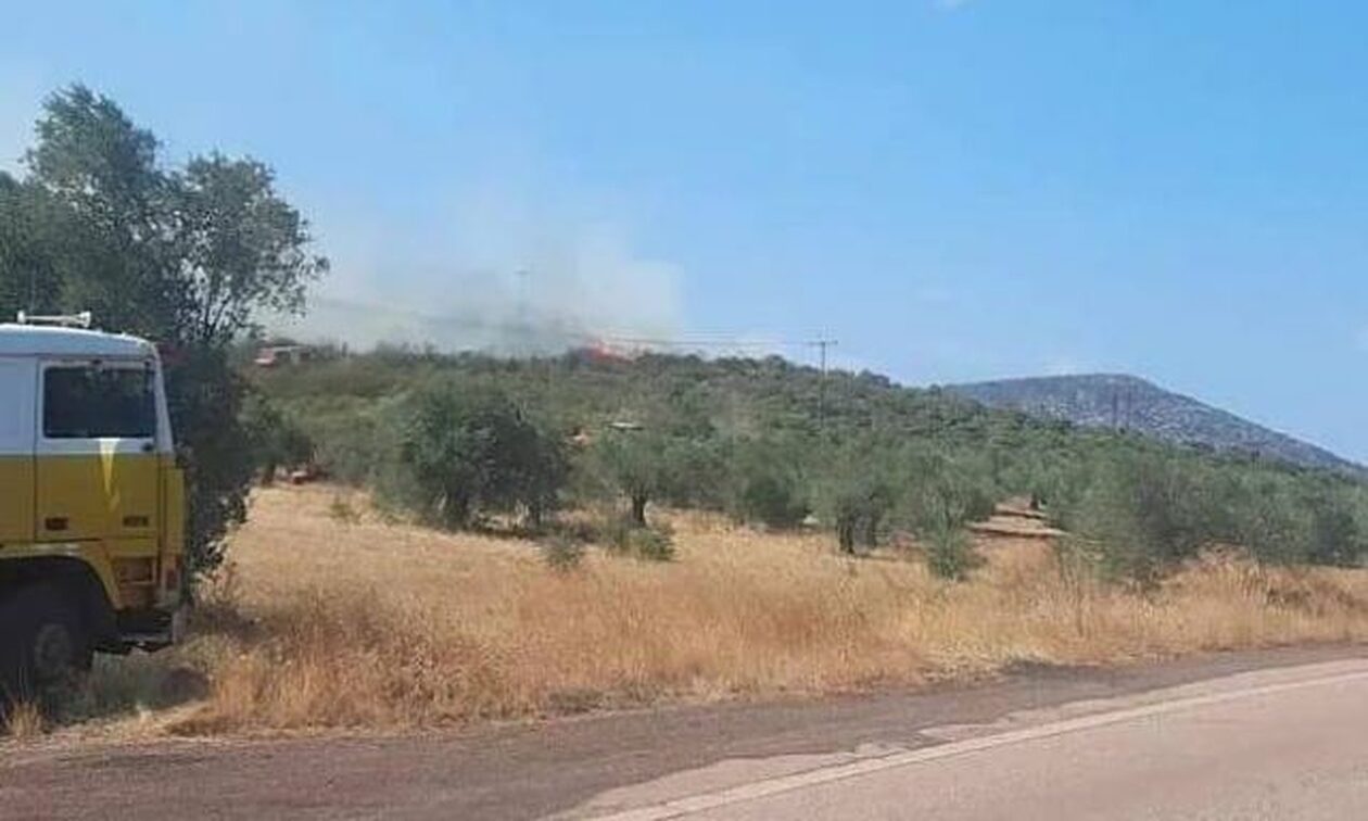 Φθιώτιδα: Υπό μερικό έλεγχο τέθηκε η φωτιά στον Δήμο Οπουντίων