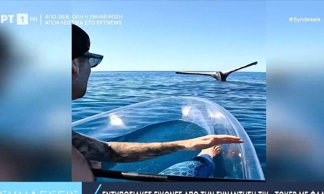 Εντυπωσιακές εικόνες από την συνάντηση tik-toker με φάλαινα