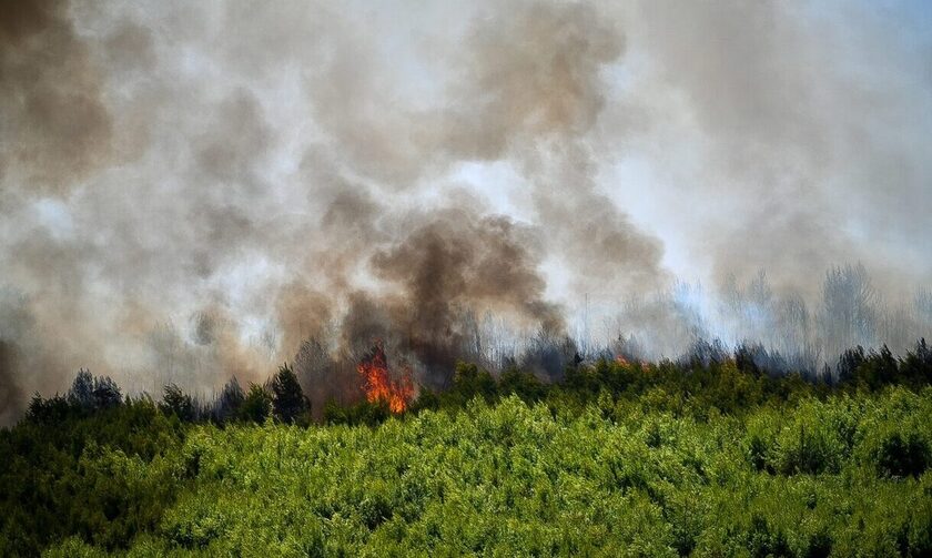 Άγιον Όρος: Η φωτιά καίει σε δασική έκταση με πυκνή βλάστηση