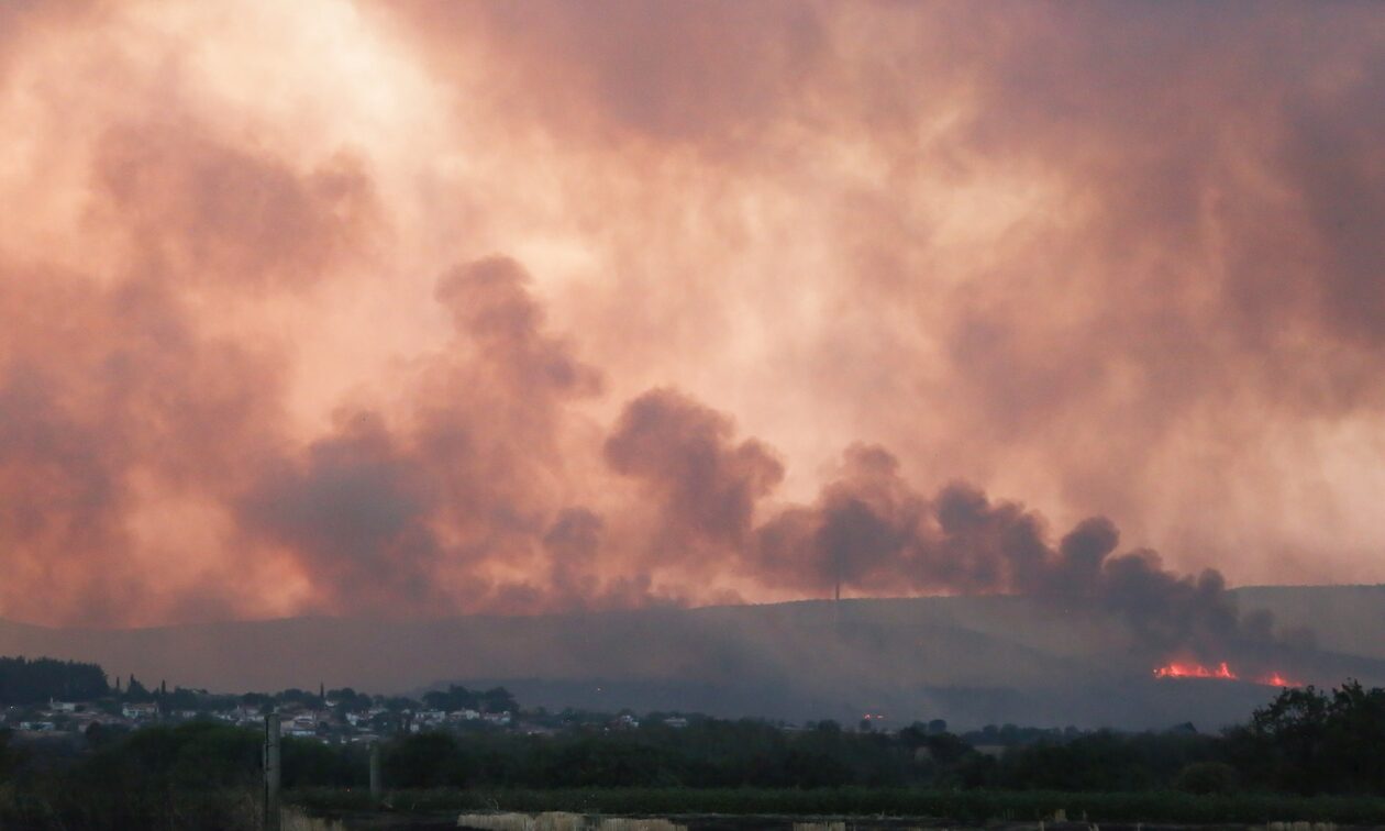 Φωτιά στην Αλεξανδρούπολη: Αναζωπύρωση στη Νίψα - Μετρούν τις πληγές τους οι κάτοικοι
