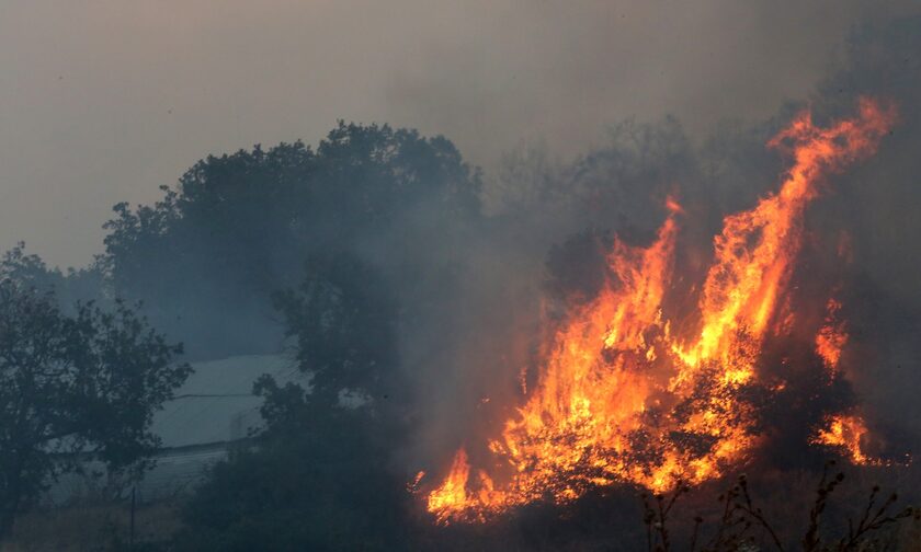 Ακραίος κίνδυνος πυρκαγιάς την Τρίτη 22 Αυγούστου - Συναγερμός σε 3 περιφέρειες