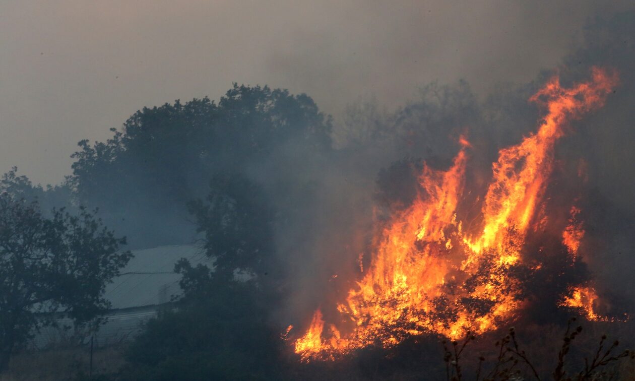 Ακραίος κίνδυνος πυρκαγιάς την Τρίτη 22 Αυγούστου - Συναγερμός σε 3 περιφέρειες