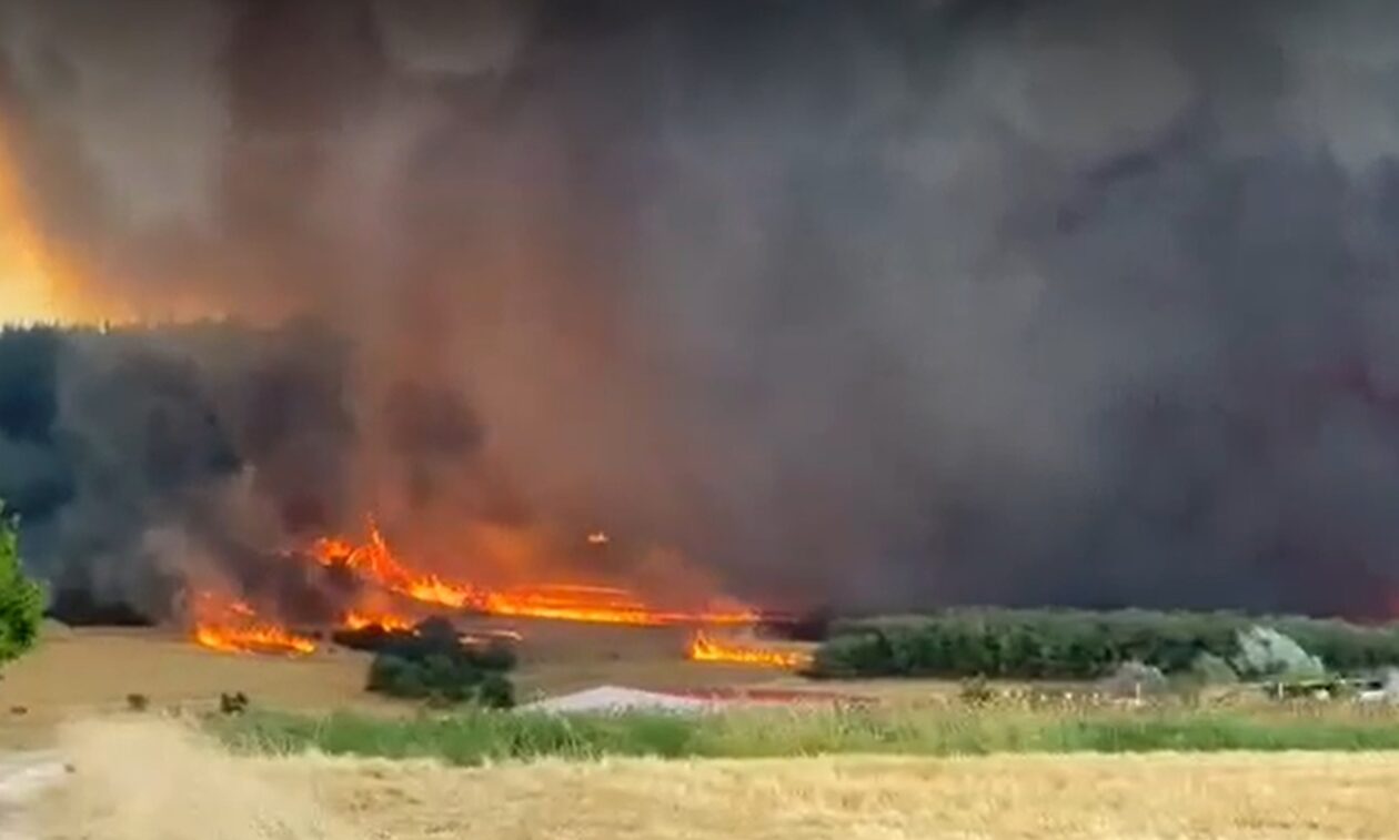 Φωτιά στην Αλεξανδρούπολη - Κελέτσης: «Άμεση καταβολή αποζημιώσεων σε αγρότες και κτηνοτρόφους»