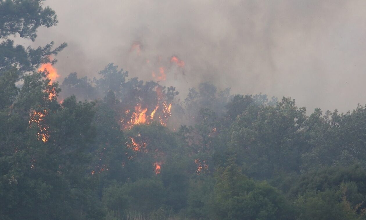 Φωτιά στη Ροδόπη: Καίγονται σπίτια στον Σώστη - Μηνύματα από το 112 για εκκενώσεις οικισμών
