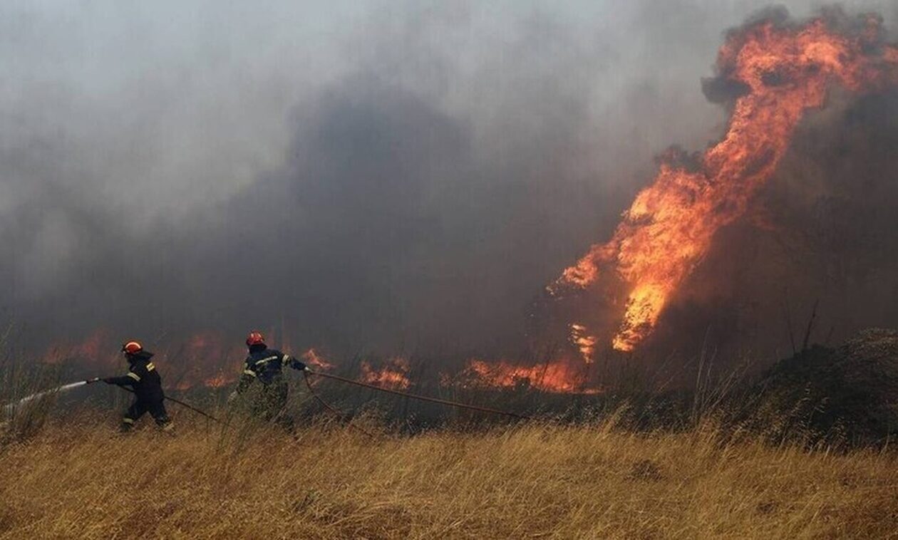 Φωτιά στην Καβάλα: Κάηκαν σπίτια σε Αβραμυλιά, Δαμασκηνιά και Διαλεκτό