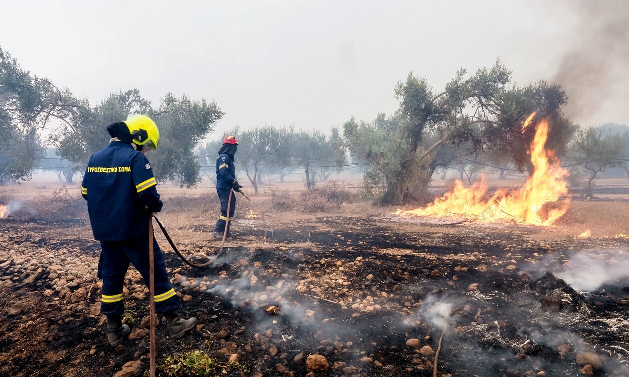 Φωτιά στη Ροδόπη: Κάηκαν σπίτια στον Σώστη - Βελτιωμένη η κατάσταση από το πρωί