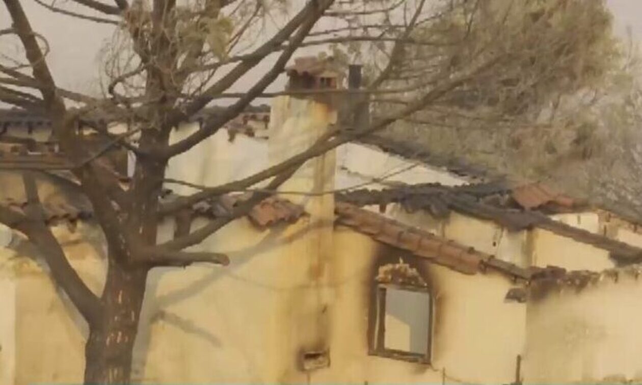 Φωτιά Αλεξανδρούπολη: Στάχτη και αποκαΐδια στον Αβάντα – Κάηκαν 4 σπίτια