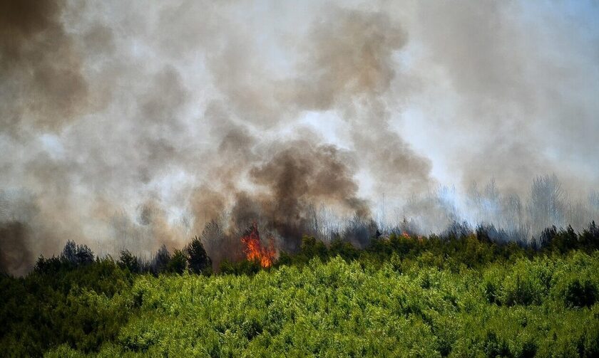 Σε ένα μέτωπο κινείται η πυρκαγιά στην Εύβοια - Δεν κινδυνεύουν κατοικημένες περιοχές