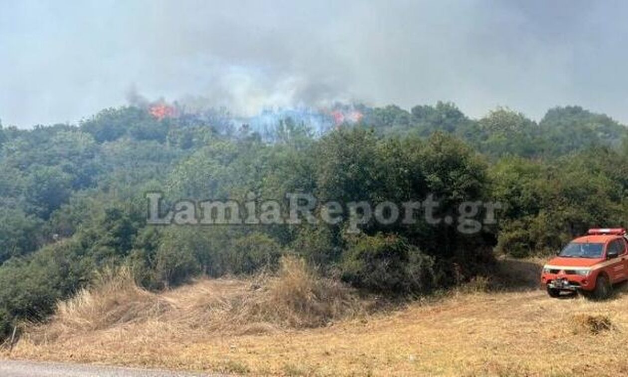 Φθιώτιδα: Πυρκαγιά στη Μακρακώμη σε αγροτοδασική έκταση