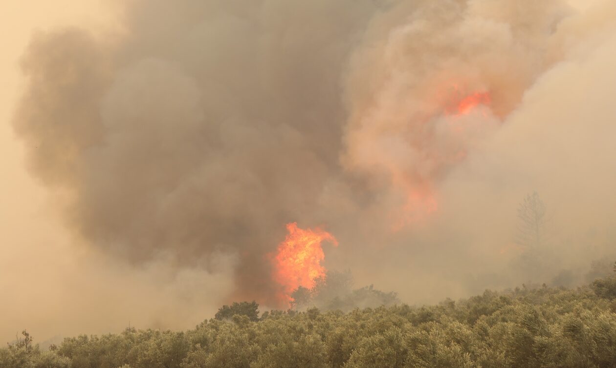 Φωτιά στη Ροδόπη: Μήνυμα του 112 στους κατοίκους οικισμών να είναι σε ετοιμότητα