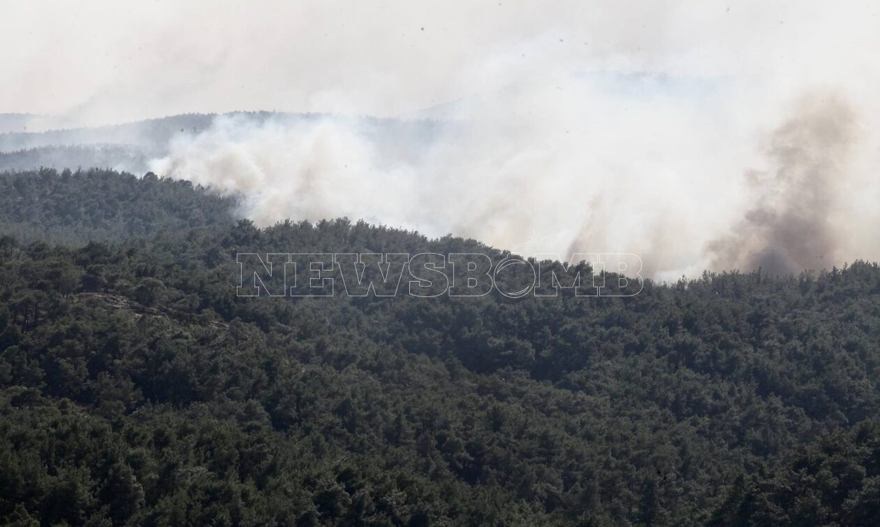 Παραδομένο στις φλόγες το δάσος της Δαδιάς - Μάχη με τις εστίες πυρκαγιάς
