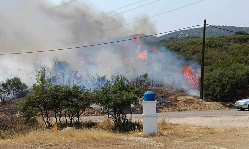 Φωτιά και στα Φάρσαλα – Καίγεται δάσος στο Ναρθάκι