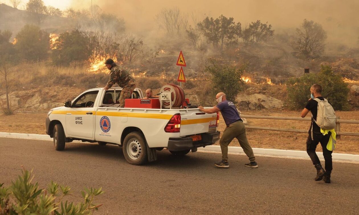 Φωτιά στη Φυλή: Αγωνιώδεις προσπάθειες να σωθούν περιουσίες και ζώα - Φωτογραφίες του Newsbomb.gr
