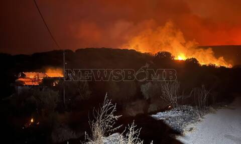 Φωτιά στην Αλεξανδρούπολη: Καίγονται σπίτια στη Μεσημβρία, εκκενώθηκε η Λεπτοκαρυά