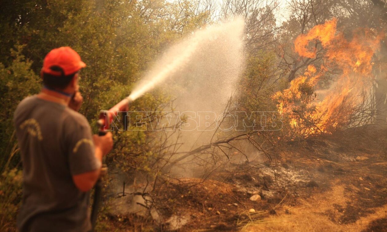 Φωτιά στην Αλεξανδρούπολη: Περισσότεροι από 200 πυροσβέστες στη μάχη - Ασθενέστεροι οι άνεμοι