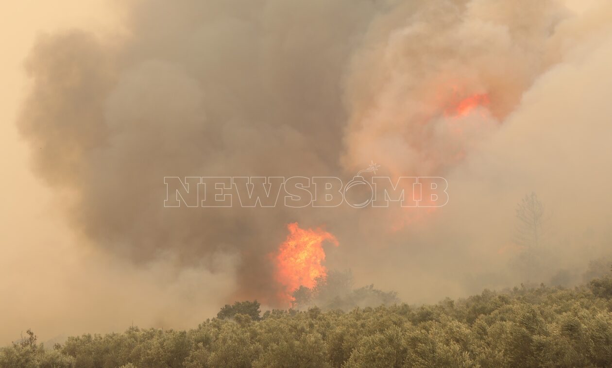 Φωτιά στην Πάρνηθα: Η φωτιά πέρασε στον Εθνικό Δρυμό