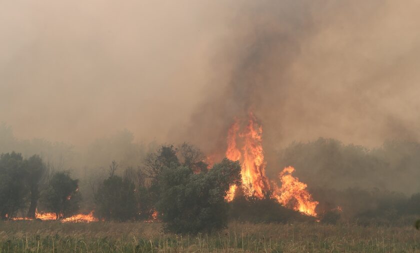 Φωτιά στη Ροδόπη: Μήνυμα 112 για εκκένωση στην Κασσιτέρα