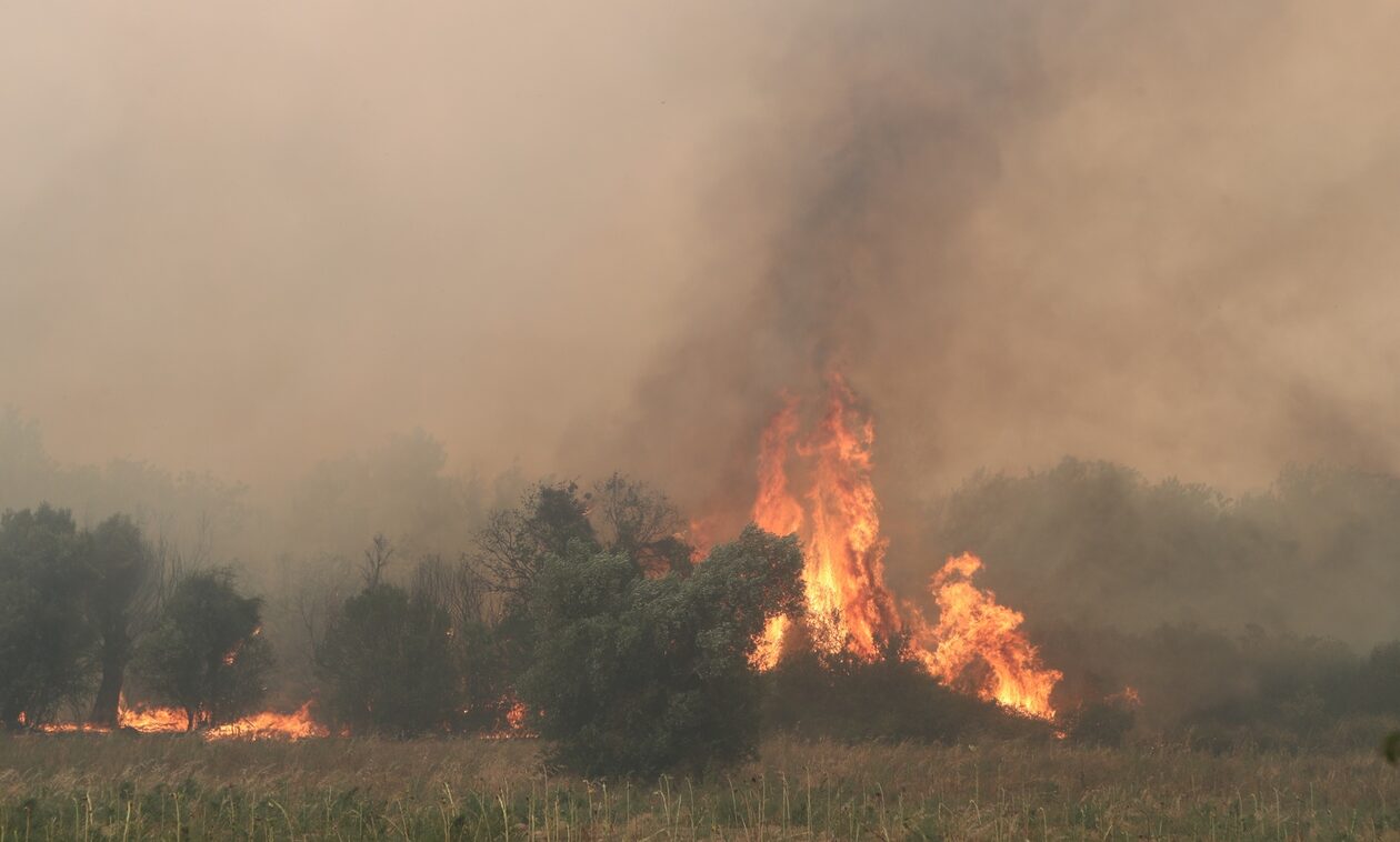 Φωτιά στη Ροδόπη: Μήνυμα 112 για εκκένωση στην Κασσιτέρα