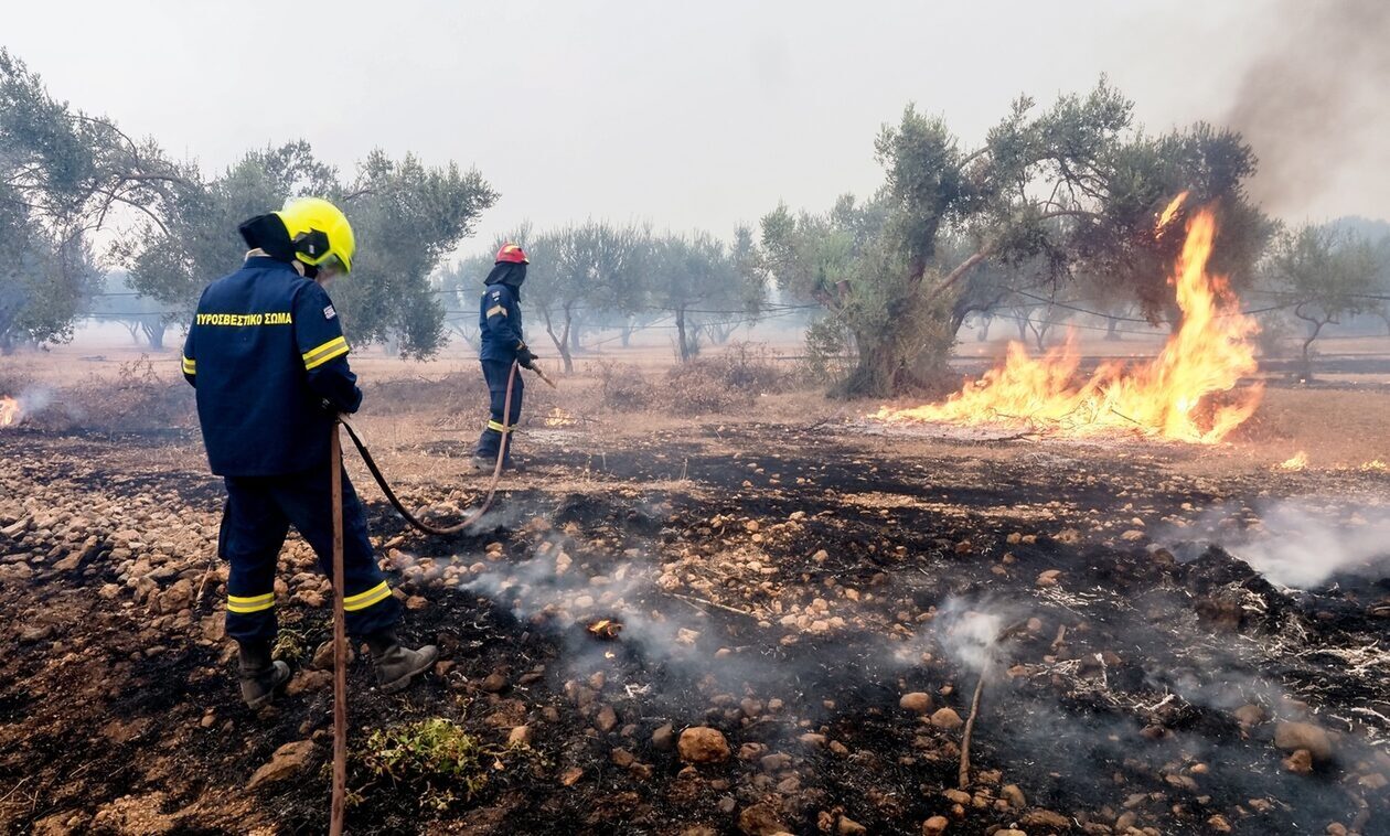 Φωτιά στην Εύβοια: Καίγεται δασική έκταση στο Κοντοδεσπότι