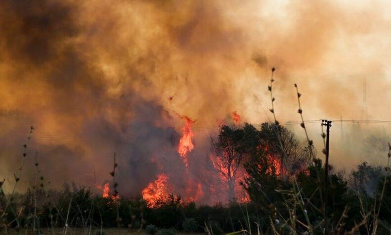Καιρίδης για φωτιές στον Έβρο: «Μπορεί να προκλήθηκε από ανθρώπινο χέρι»
