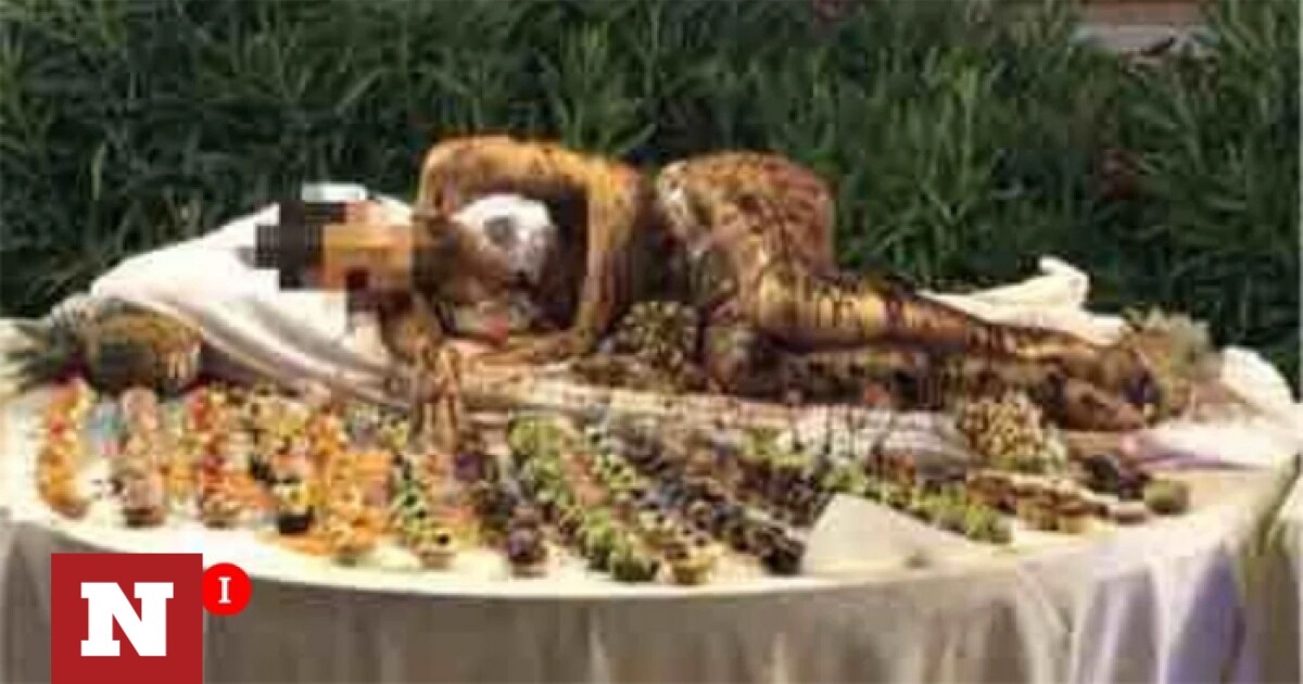 Scandalo in Italia: Hotel sparge cioccolata sul corpo di una donna al buffet – Newsbomb – News