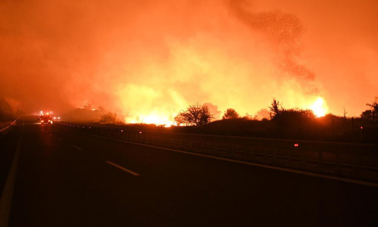 Πύρινα μέτωπα σε Έβρο και Ροδόπη – Μεγάλες καταστροφές από τη φωτιά στην Κίρκη