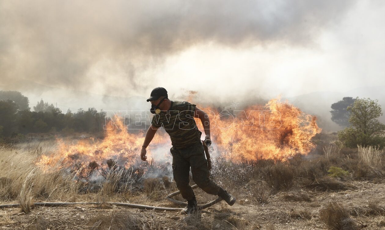 Φωτιά στο Μαρκόπουλο Μεσογαίας: Οριοθετήθηκε άμεσα από την Πυροσβεστική