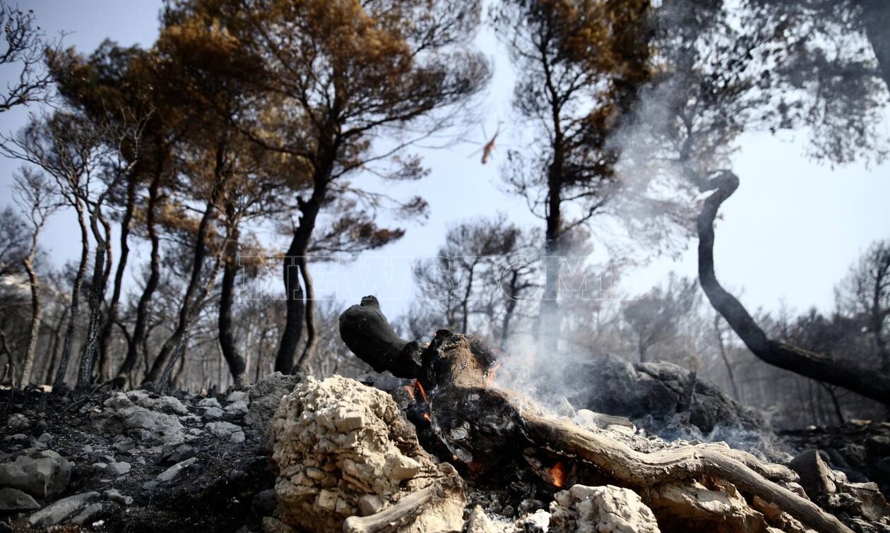 Φωτιά στην Πάρνηθα: Καλύτερη η εικόνα από το μέτωπο - Το Newsbomb.gr στην επιχείρηση κατάσβεσης