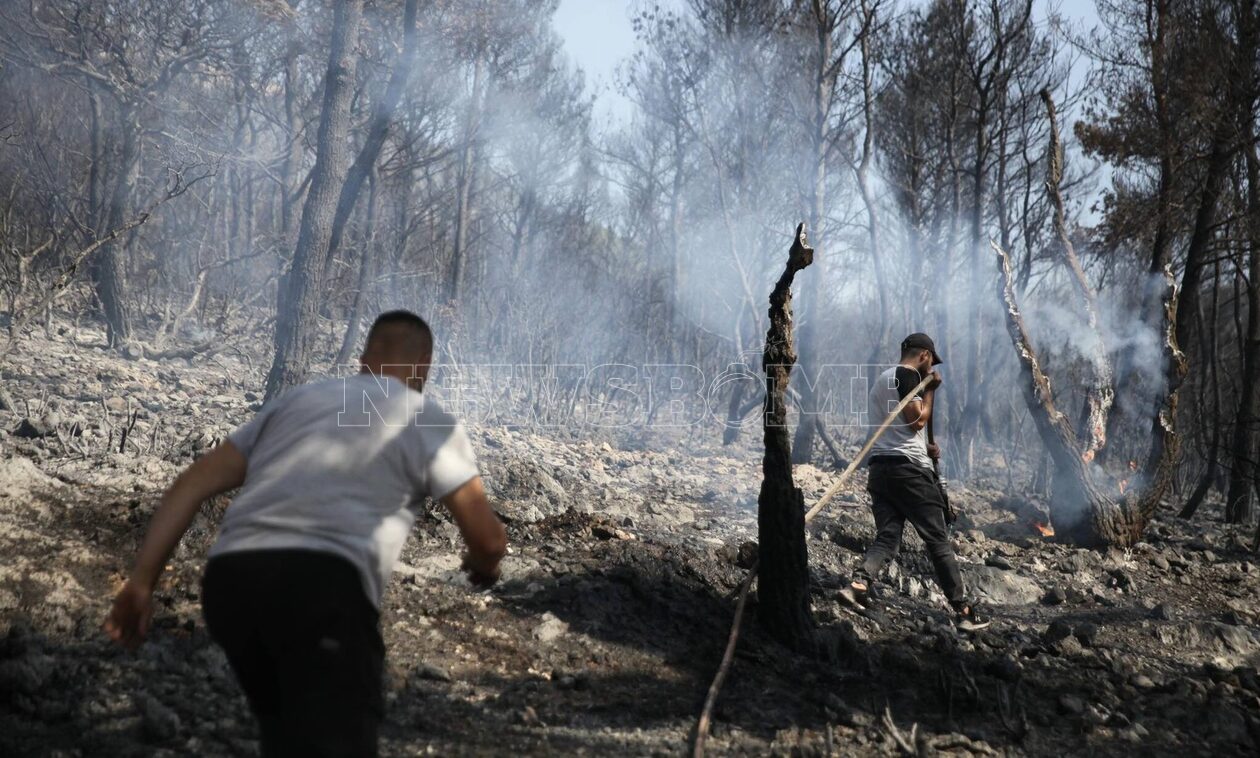Φωτιά στην Πάρνηθα: Ξεσπάει ο αντιδήμαρχος Αχαρνών - «Δεν πάει άλλο έχει καεί όλη η χώρα»