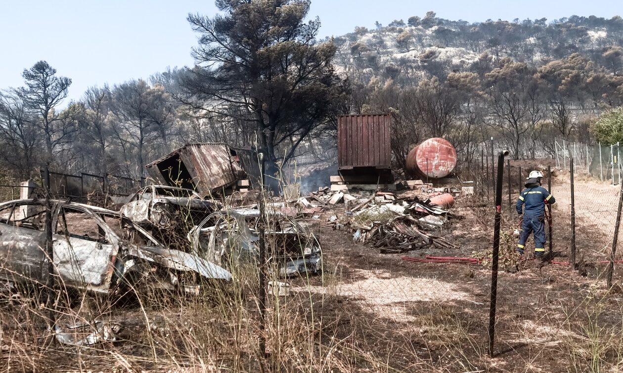 Κλέαρχος Μαρουσάκης: Μέχρι 8 μποφόρ στην Πάρνηθα - Κίνδυνος για φωτιά από κεραυνούς