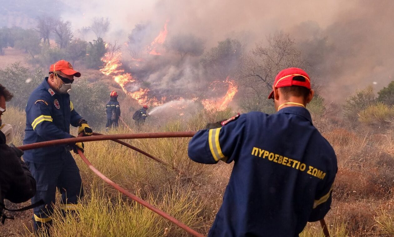 Φωτιά στο Λάγιο Λακωνίας - Επιχειρούν και εναέρια μέσα