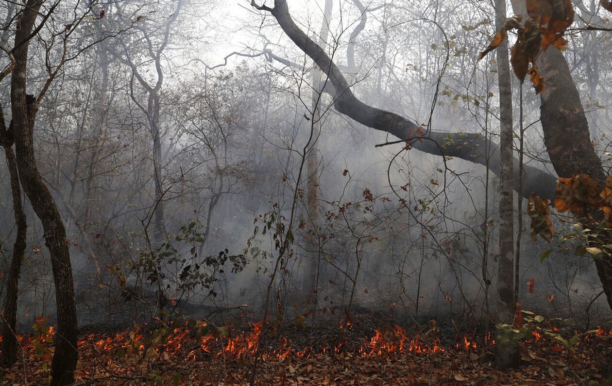 Βολιβία: Πυρκαγιές σε δασικές και αγροτικές εκτάσεις