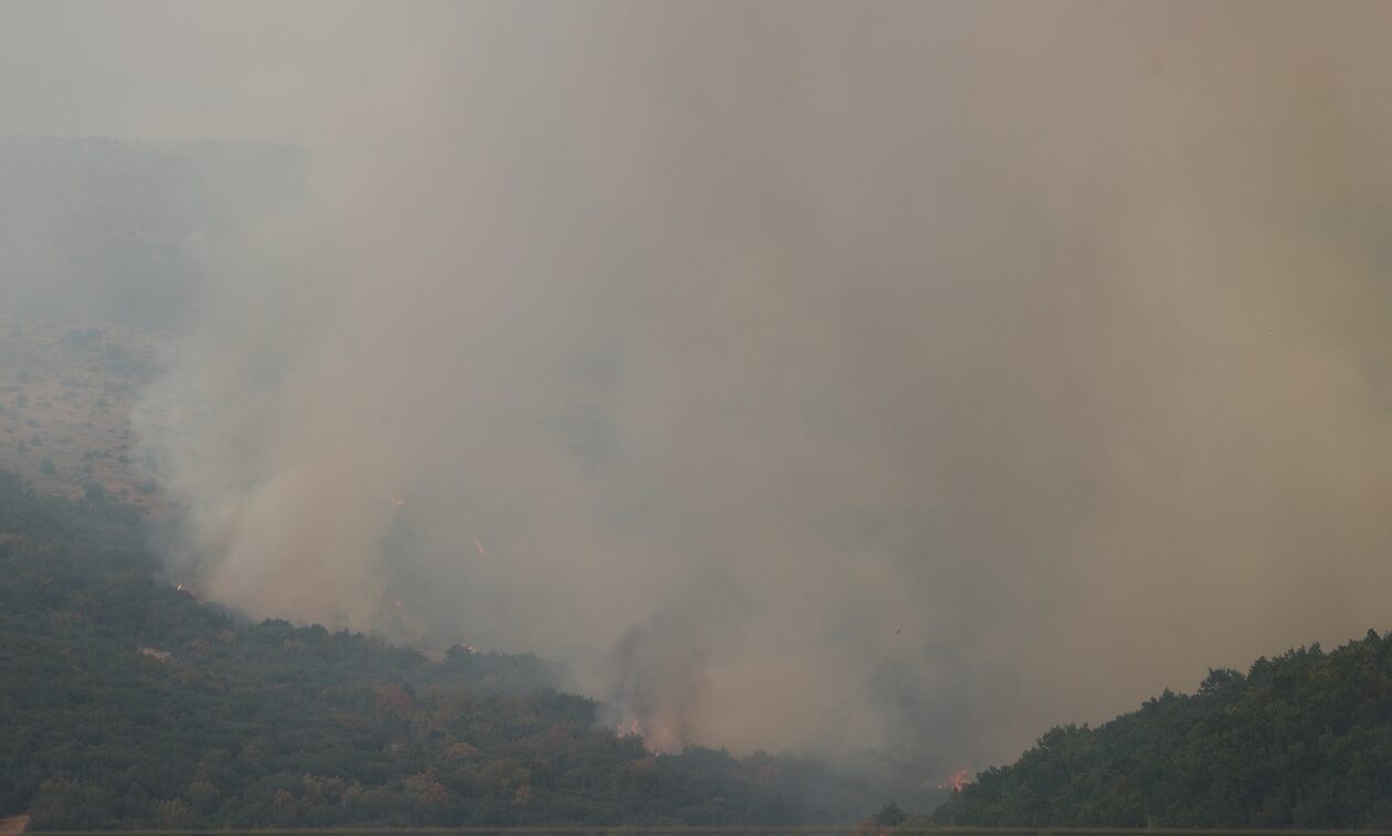 Φωτιά στο Δάσος της Δαδιάς: «Θα χρειαστούν δεκαετίες για να αναγεννηθεί ό,τι χάθηκε»