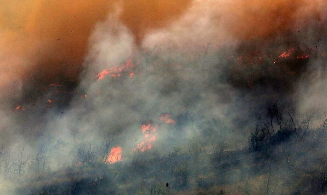 Φωτιά στον Έβρο: Συνεχείς μάχες με τις αναζωπυρώσεις – Νέα μηνύματα από το 112 για εκκενώσεις