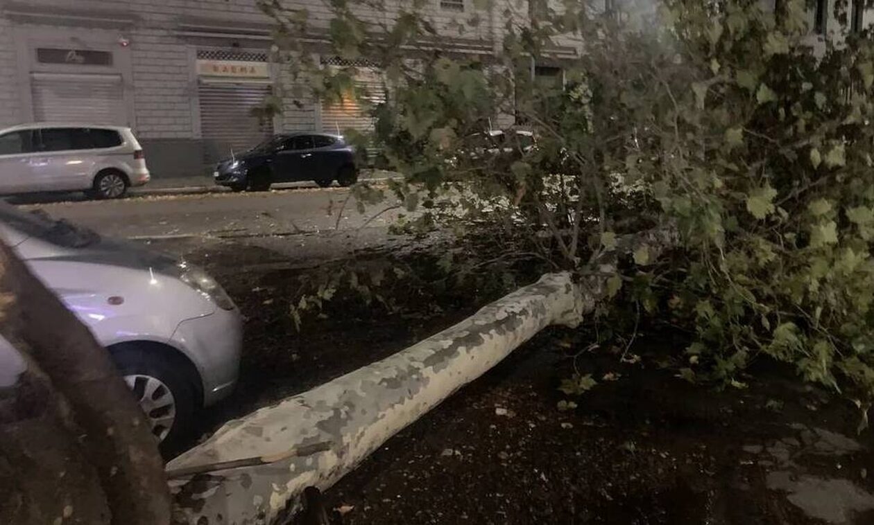 Ιταλία: Μεγάλη νεροποντή στο Μιλάνο - Έπεσαν δέντρα και υπέστησαν ζημιές στέγες σπιτιών (vid)