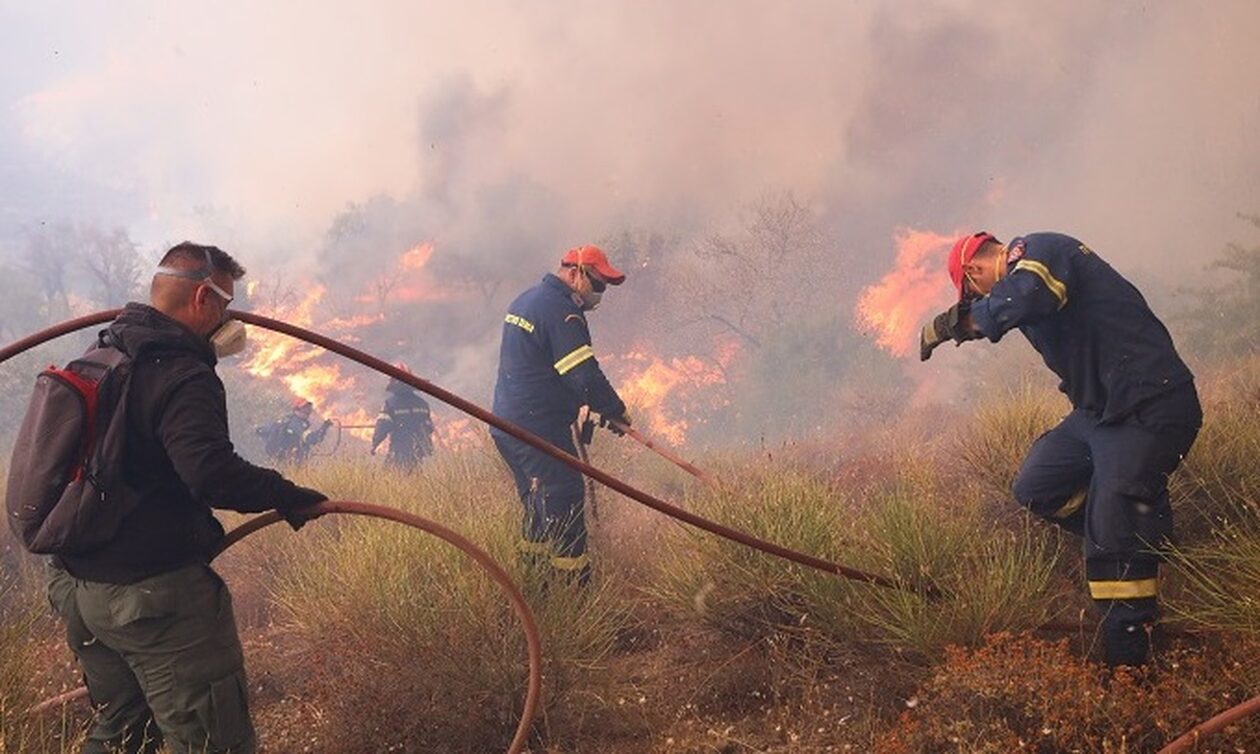 Δραματικά στοιχεία από meteo: Το 33% των δασών της Αττικής κάηκε τα 7 τελευταία χρόνια