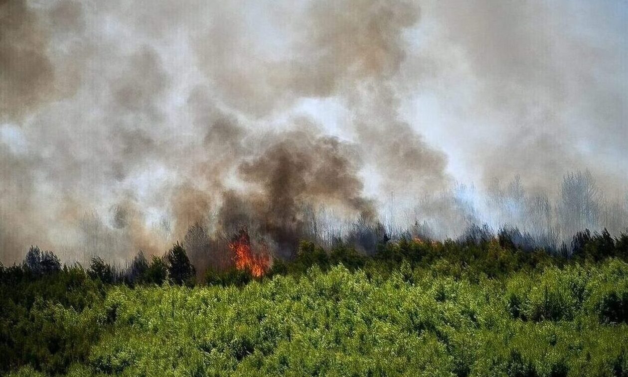 Συνεχίζεται η μάχη με τις φλόγες σε Έβρο και Άνδρο - Βελτιωμένη εικόνα σε Βοιωτία και Φθιώτιδα