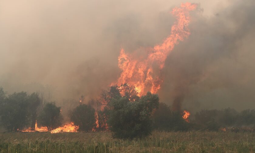 Έβρος: Μάχη με τις φλόγες για ένατη ημέρα - Ενισχύονται οι επίγειες και εναέριες δυνάμεις, νέα «112»